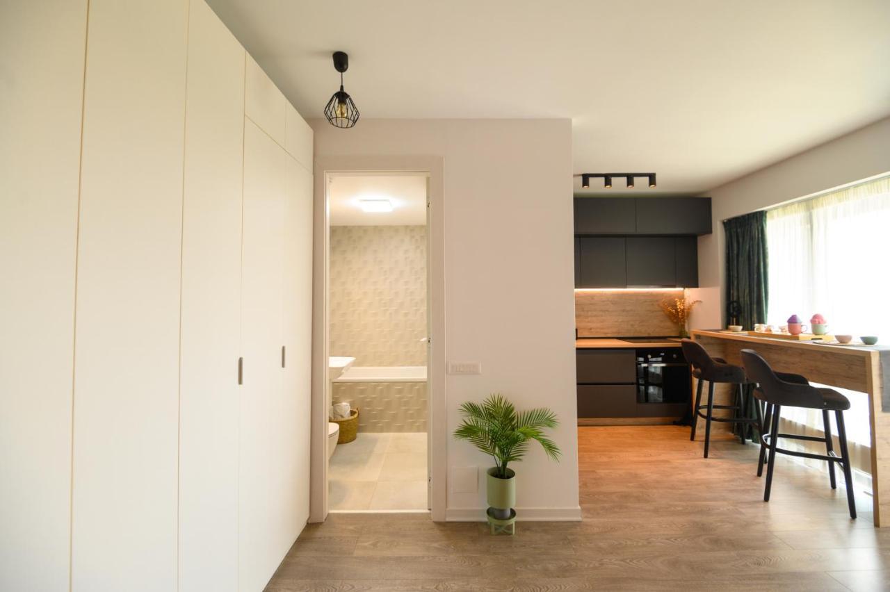 North Twin Apartment Букурещ Екстериор снимка